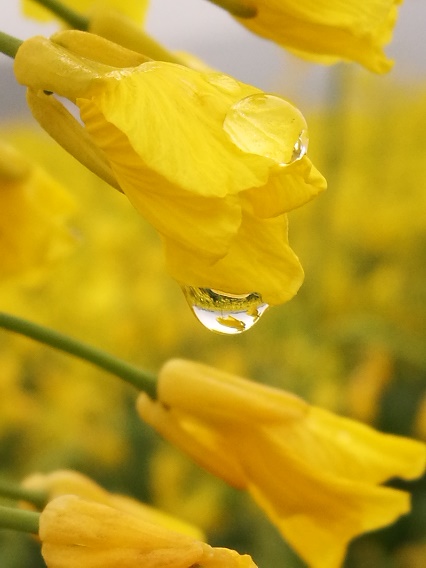 3387558d0ce2abdffd.jpg 3387558d0ce2abdffd.jpg