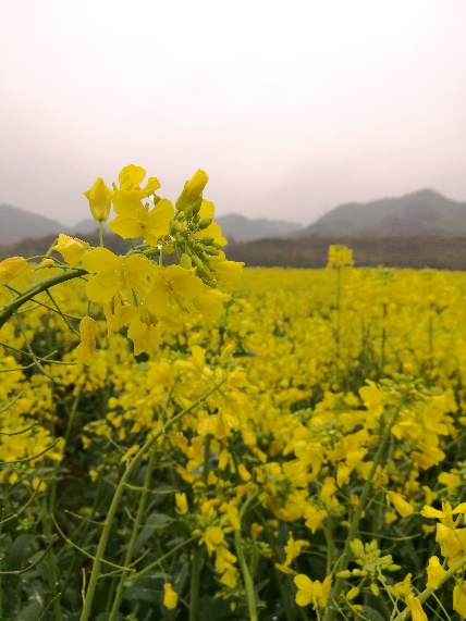 4473558d0ce5636d17.jpg 4473558d0ce5636d17.jpg