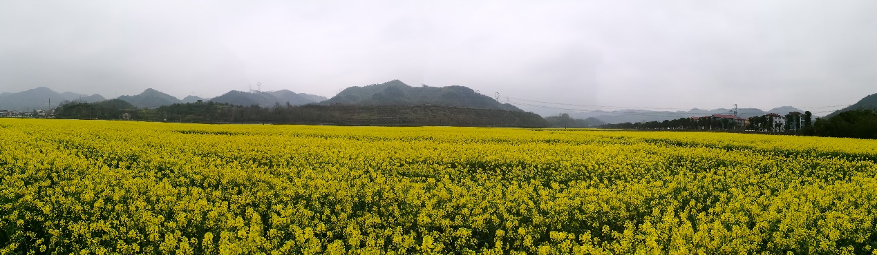 7315458d0cd281775a.jpg 7315458d0cd281775a.jpg