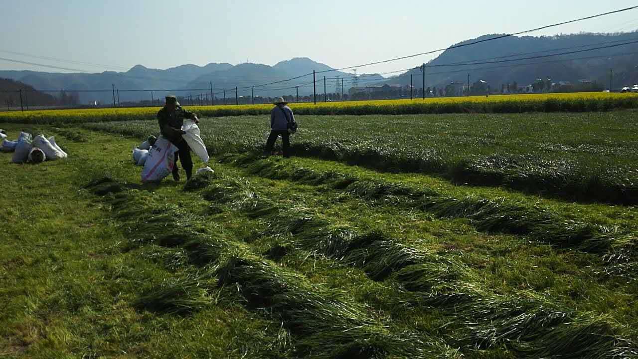 7422858d0d014a11a3.jpg 7422858d0d014a11a3.jpg