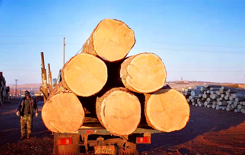 3826758df6a9d1e543.jpg 3826758df6a9d1e543.jpg