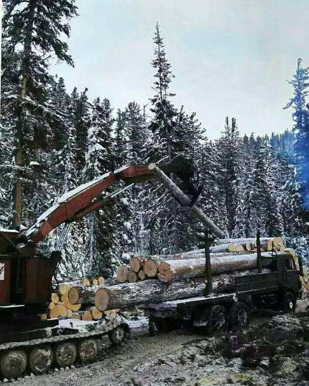 4480158df6a377a34a.jpg 4480158df6a377a34a.jpg