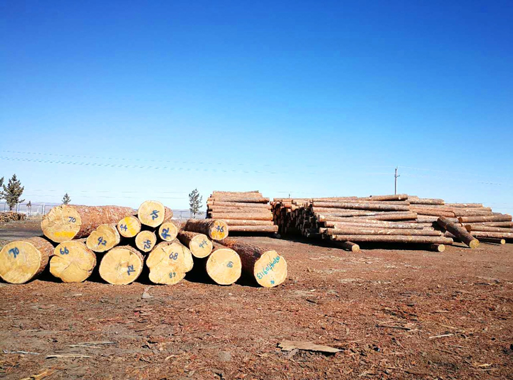 5488858df6a88976d2.jpg 5488858df6a88976d2.jpg