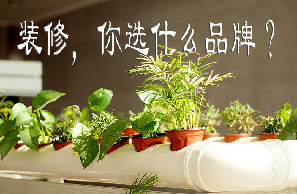 5996358e4999904929.jpg 5996358e4999904929.jpg