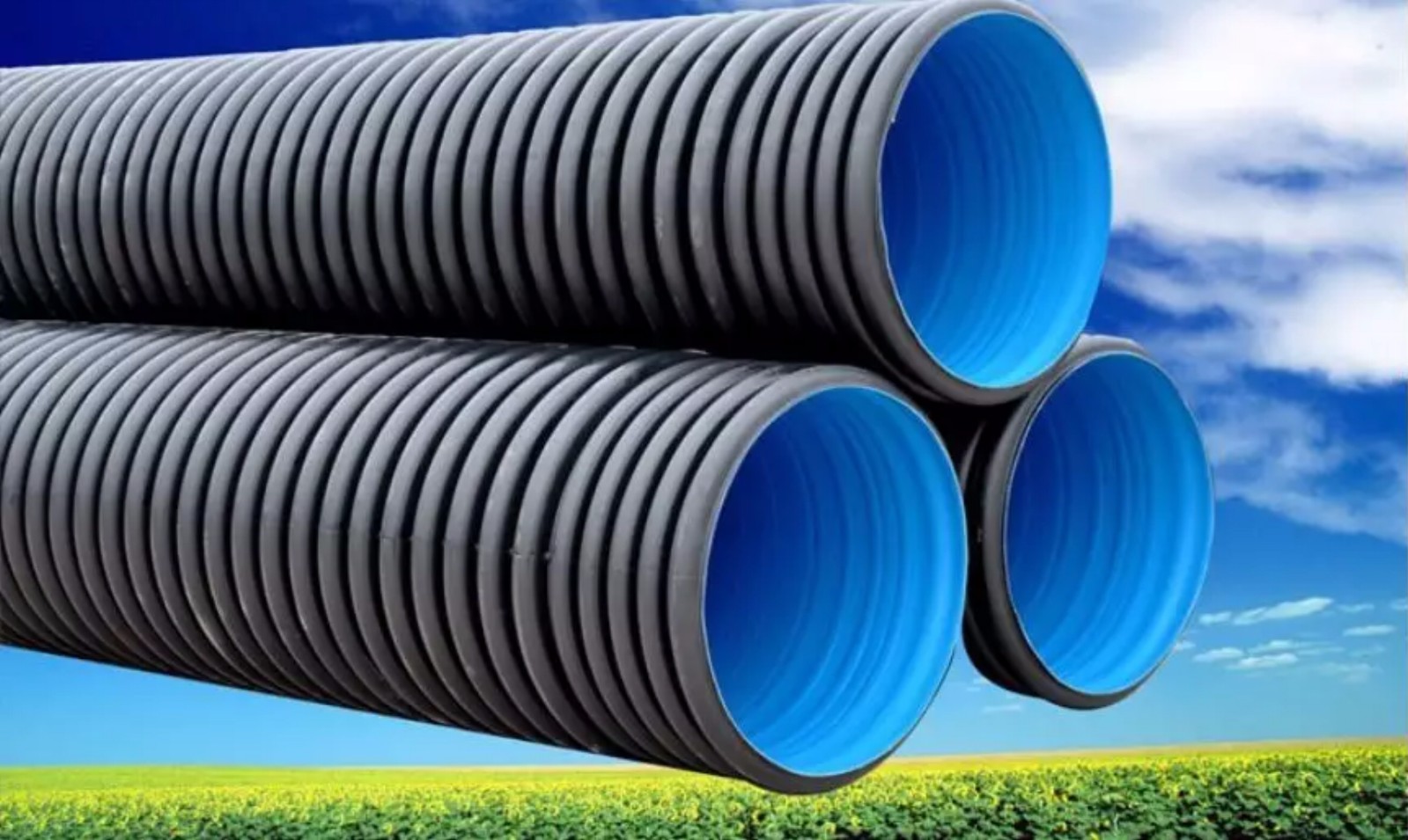 563445d02fa1352d54.jpg 563445d02fa1352d54.jpg