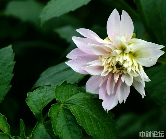 950735d5f3a8ff0480.jpg 950735d5f3a8ff0480.jpg