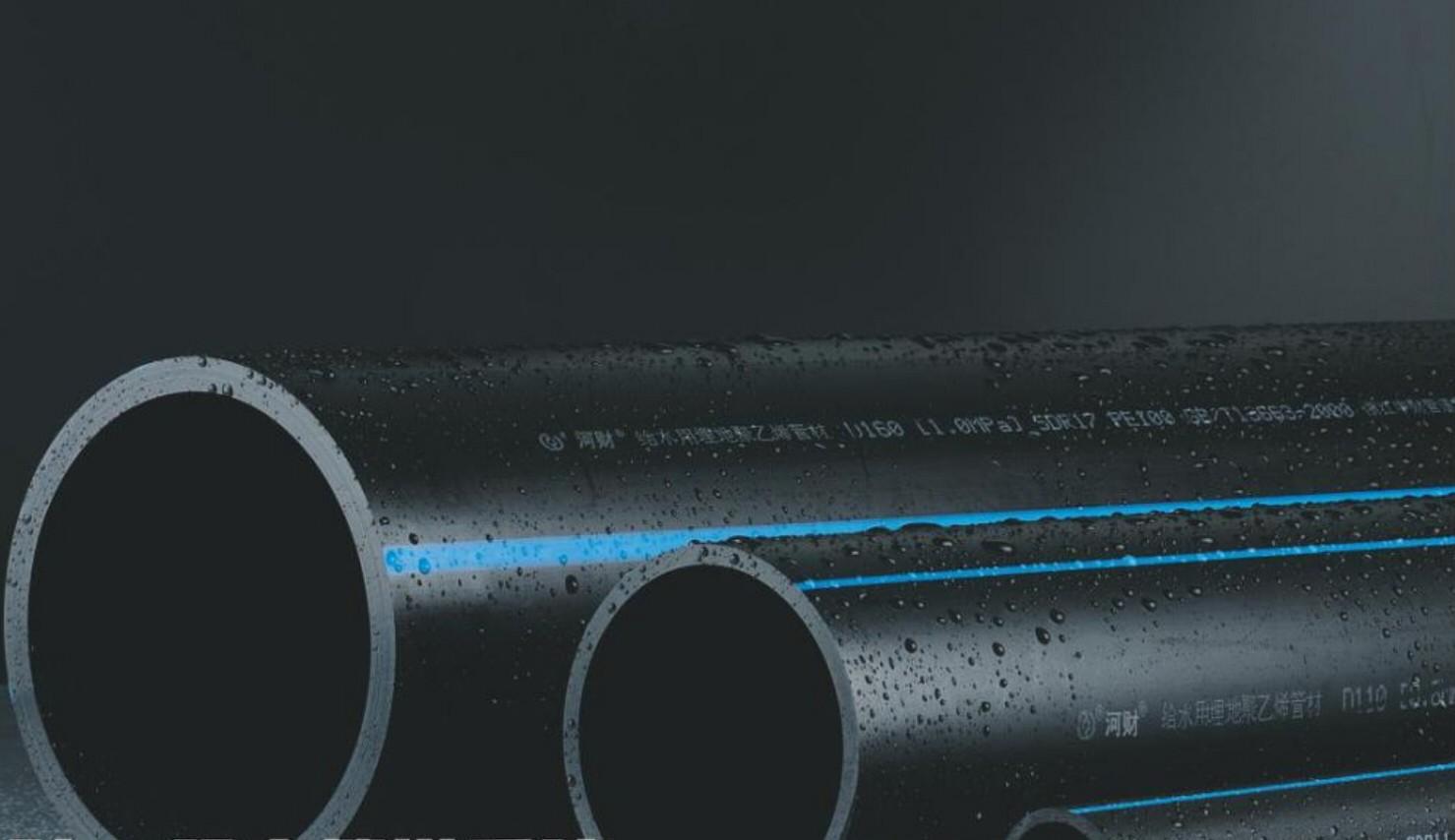 131985d78916270166.jpg 131985d78916270166.jpg