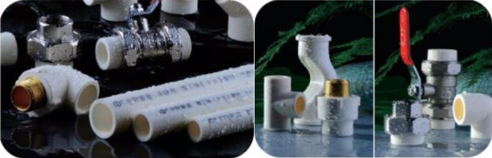 743725d803728e15ac.jpg 743725d803728e15ac.jpg