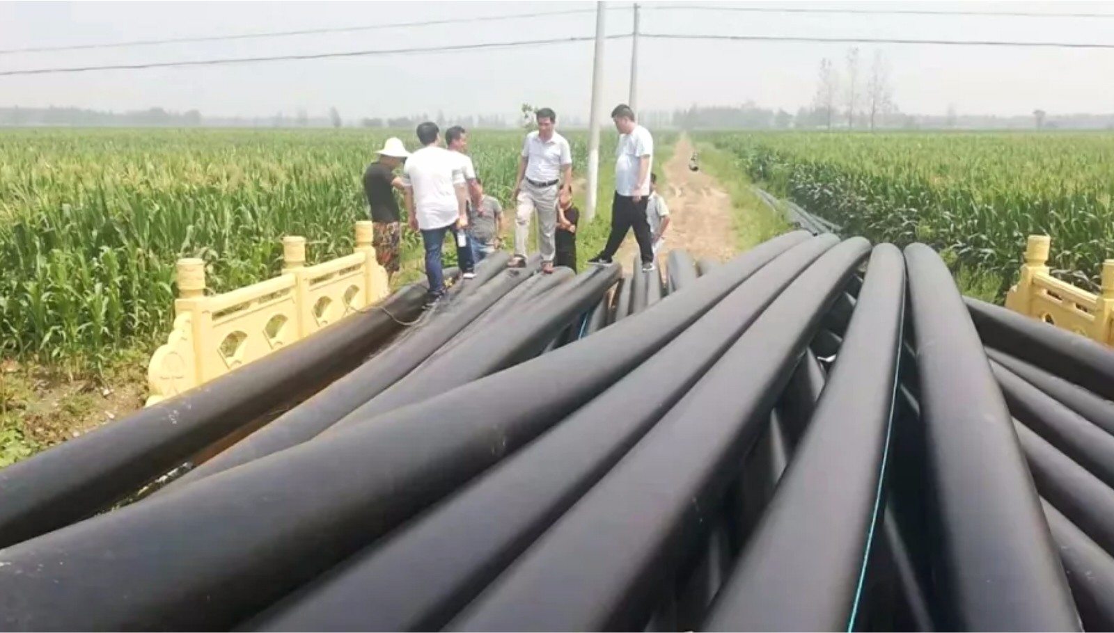 927885d9be3825678c.jpg 927885d9be3825678c.jpg