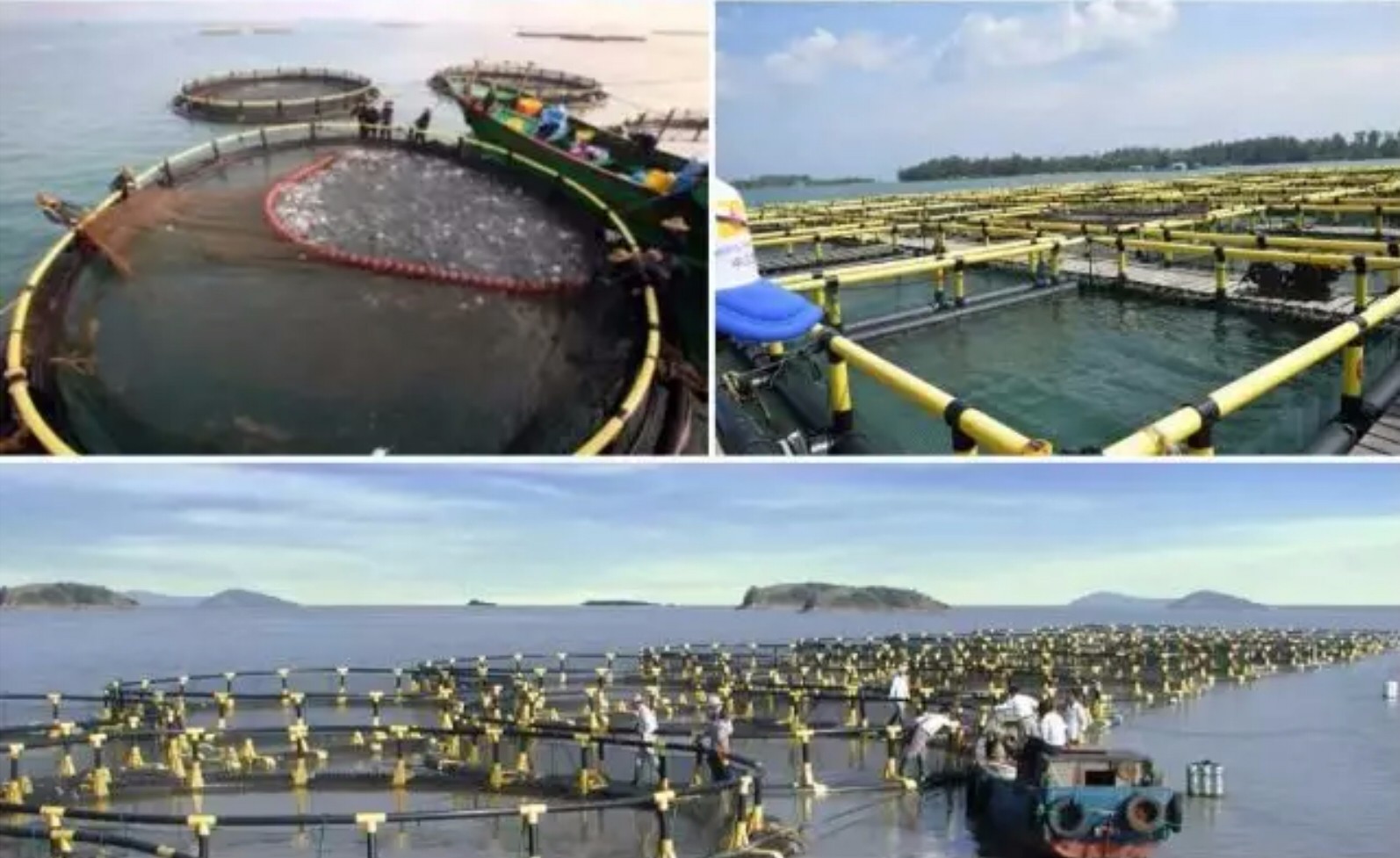 777545db790ed7d657.jpg 777545db790ed7d657.jpg