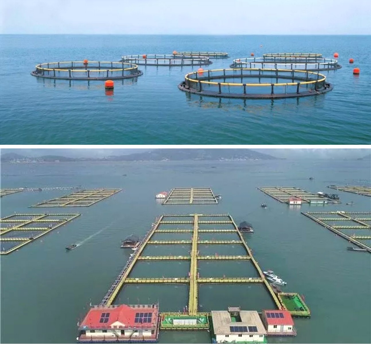 861925db7946219c7b.jpg 861925db7946219c7b.jpg