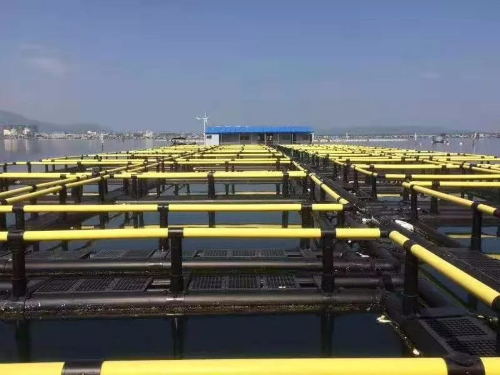 885535db78e60c6ac3.jpg 885535db78e60c6ac3.jpg