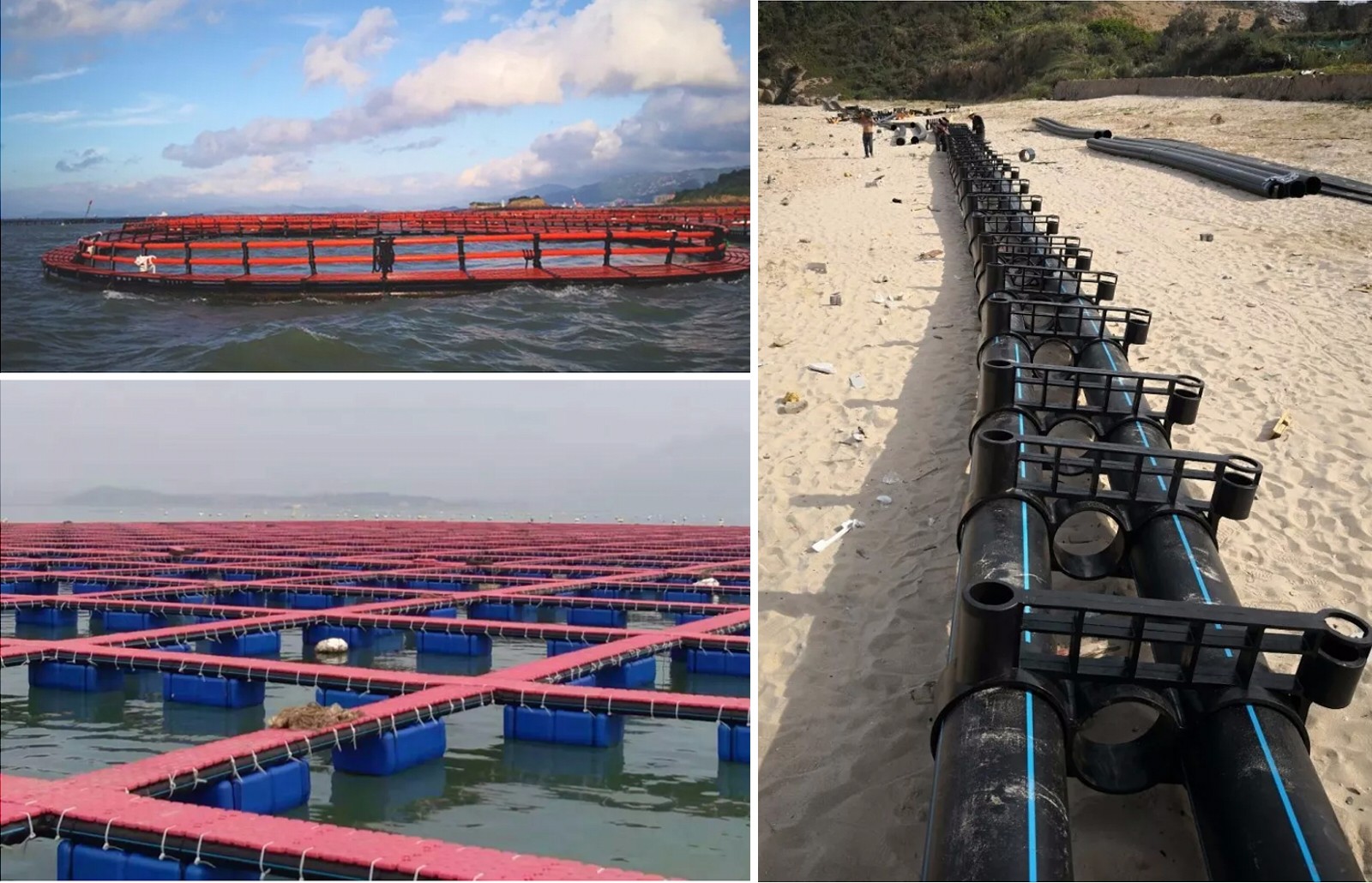 885845db7946275a68.jpg 885845db7946275a68.jpg