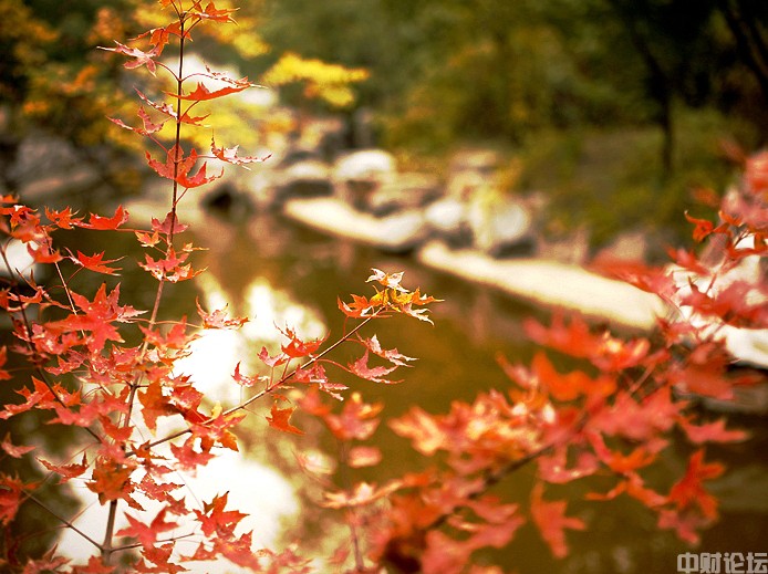 685025ddb785709897.jpg 685025ddb785709897.jpg