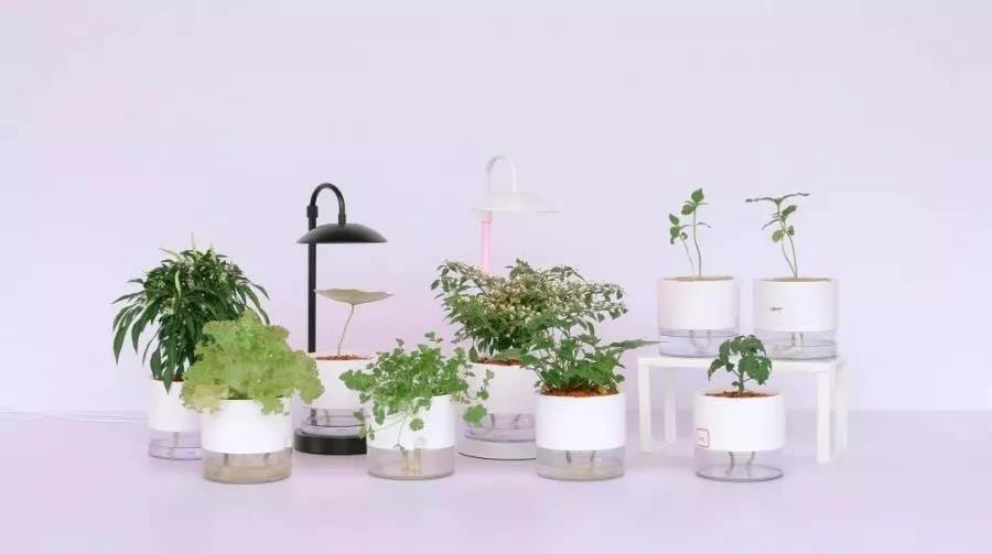 137115e5c5b06d34e8.jpg 137115e5c5b06d34e8.jpg