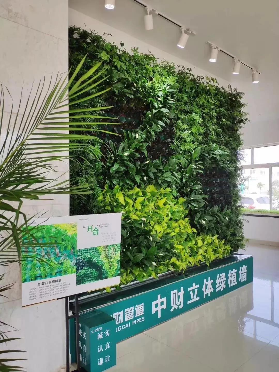 260915e5c5b075ecca.jpg 260915e5c5b075ecca.jpg