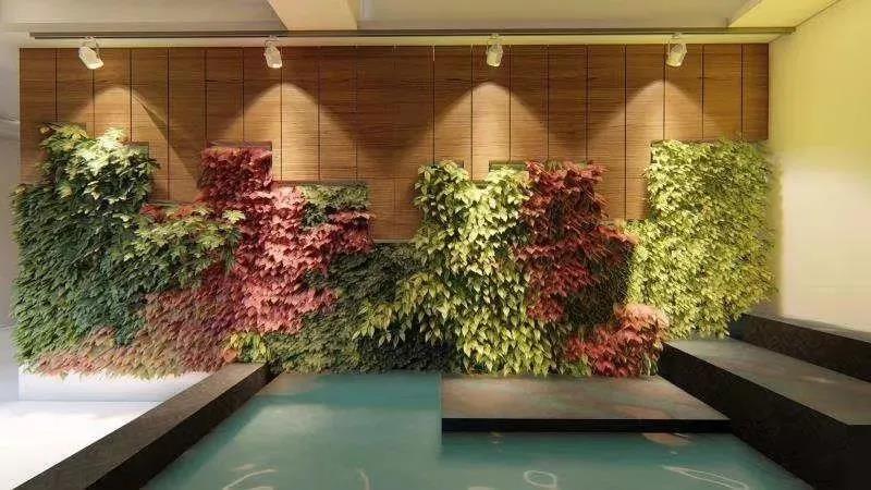 586695e5c5b0748a88.jpg 586695e5c5b0748a88.jpg