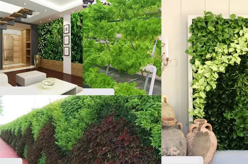 120795ef15414a6b4d.jpg 120795ef15414a6b4d.jpg