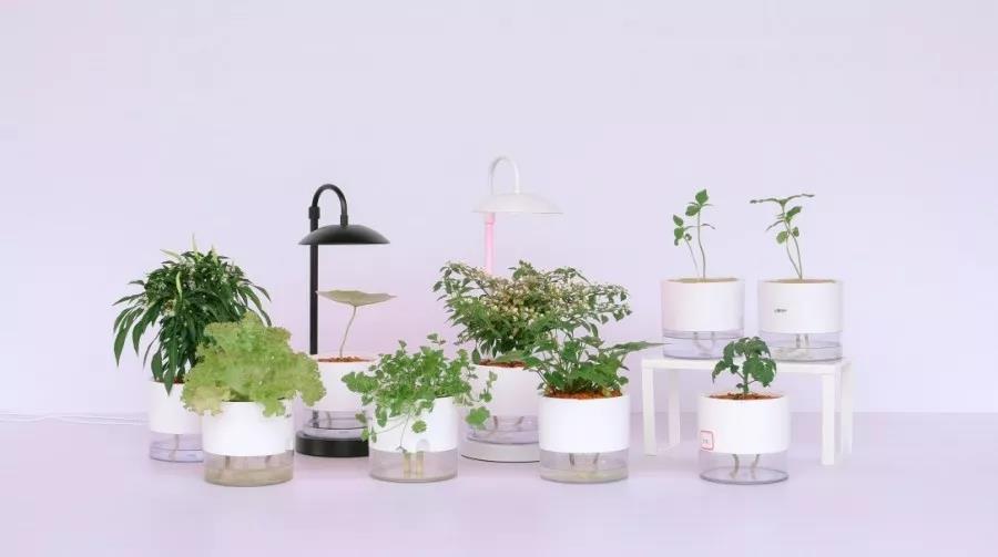 918985ef154148f55f.jpg 918985ef154148f55f.jpg