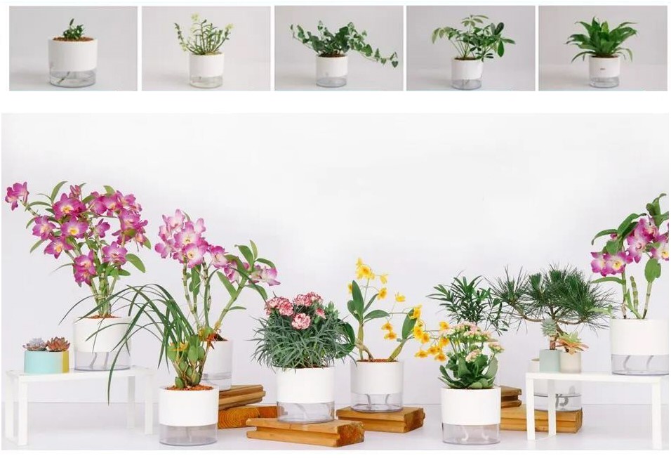 990545ef8008de4dcf.jpg 990545ef8008de4dcf.jpg