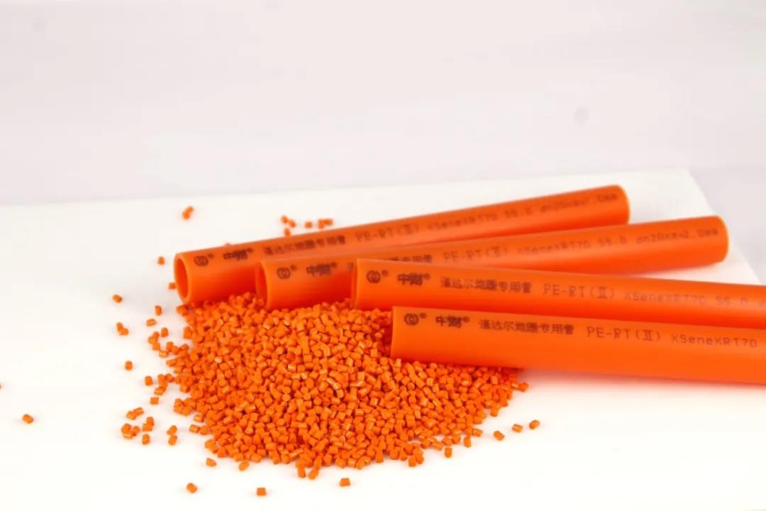 869895f879c00e6f35.jpg 869895f879c00e6f35.jpg