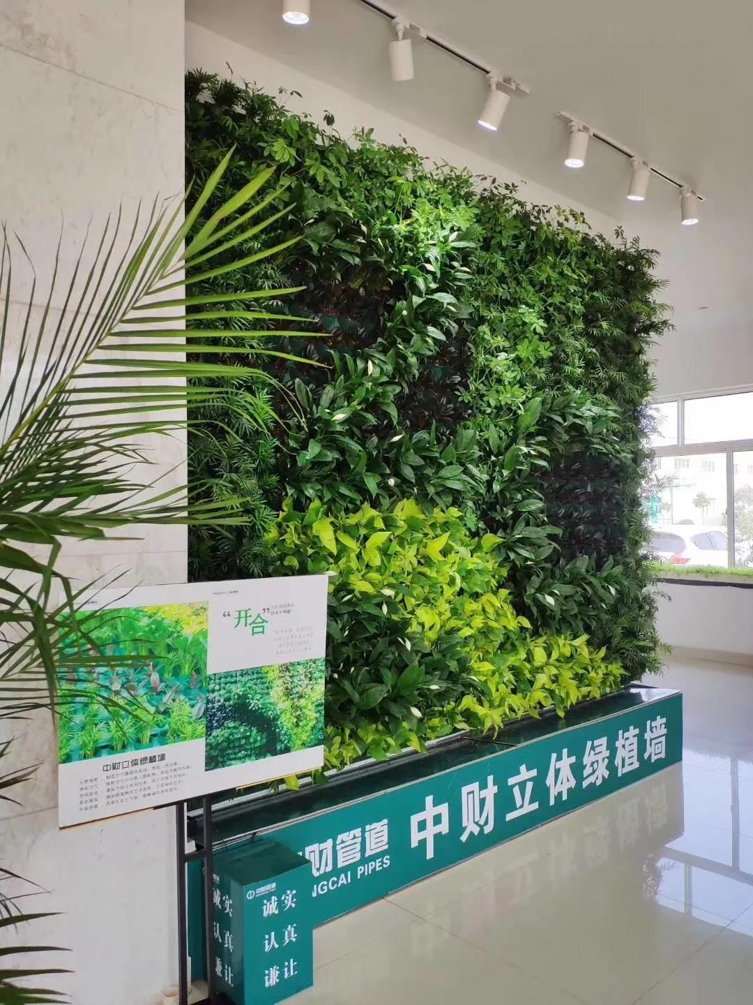 148495fc83394d42ea.jpg 148495fc83394d42ea.jpg