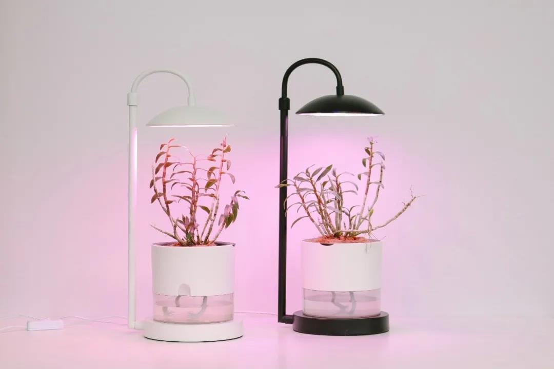 158585fc8330e4affa.jpg 158585fc8330e4affa.jpg