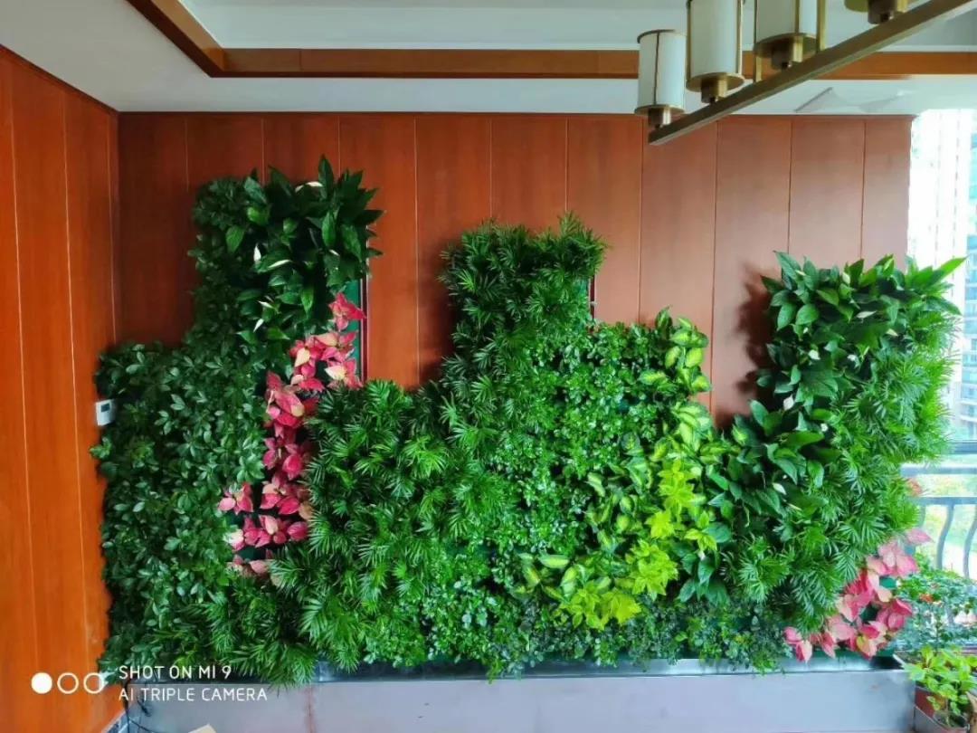 260995fc833951c2ac.jpg 260995fc833951c2ac.jpg