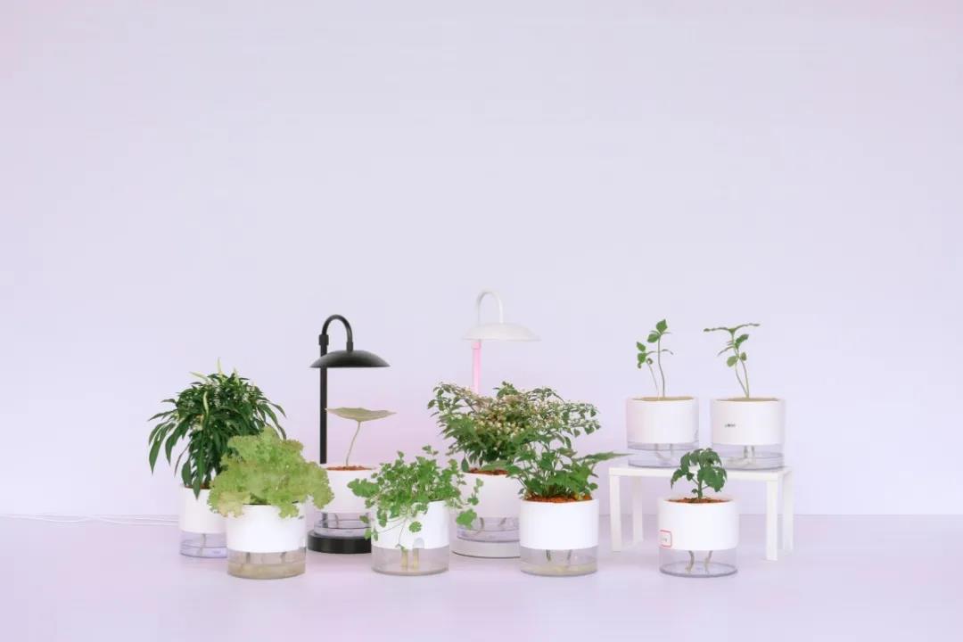 406345fc832e693029.jpg 406345fc832e693029.jpg