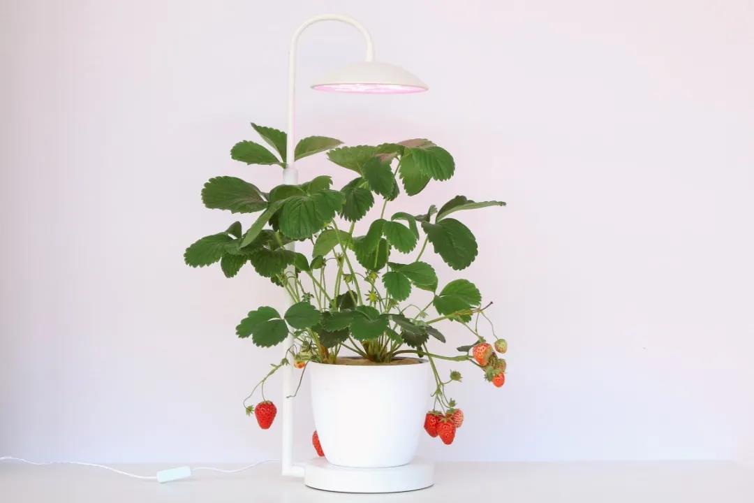 698475fc832c239990.jpg 698475fc832c239990.jpg