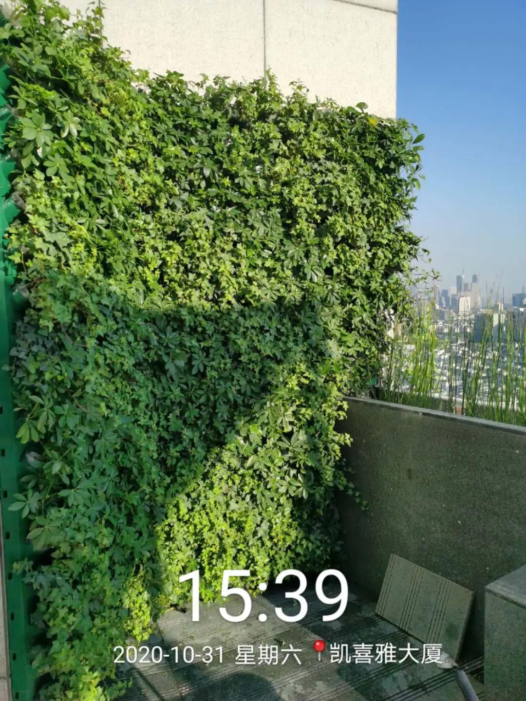 809505fc8341f0cb8a.jpg 809505fc8341f0cb8a.jpg