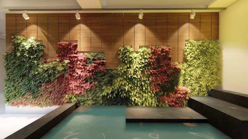 967355fc833954029b.jpg 967355fc833954029b.jpg