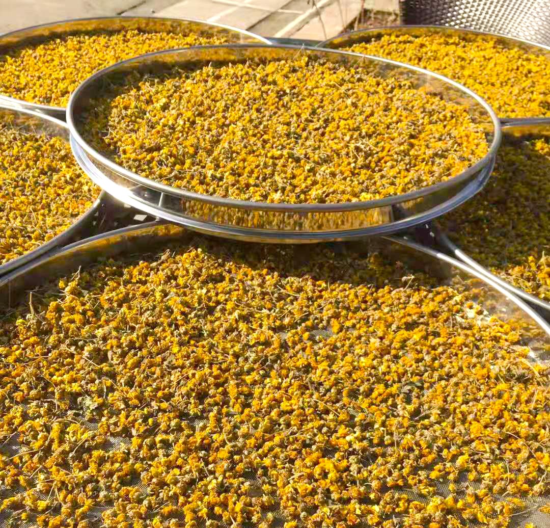 836035fdc47cb09d3e.jpg 836035fdc47cb09d3e.jpg