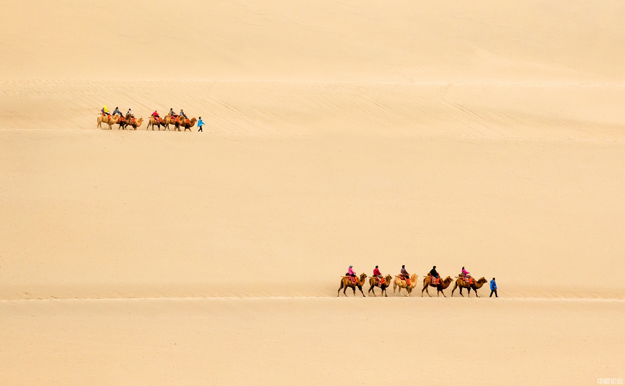 5324260875c9e7e779.jpg 5324260875c9e7e779.jpg