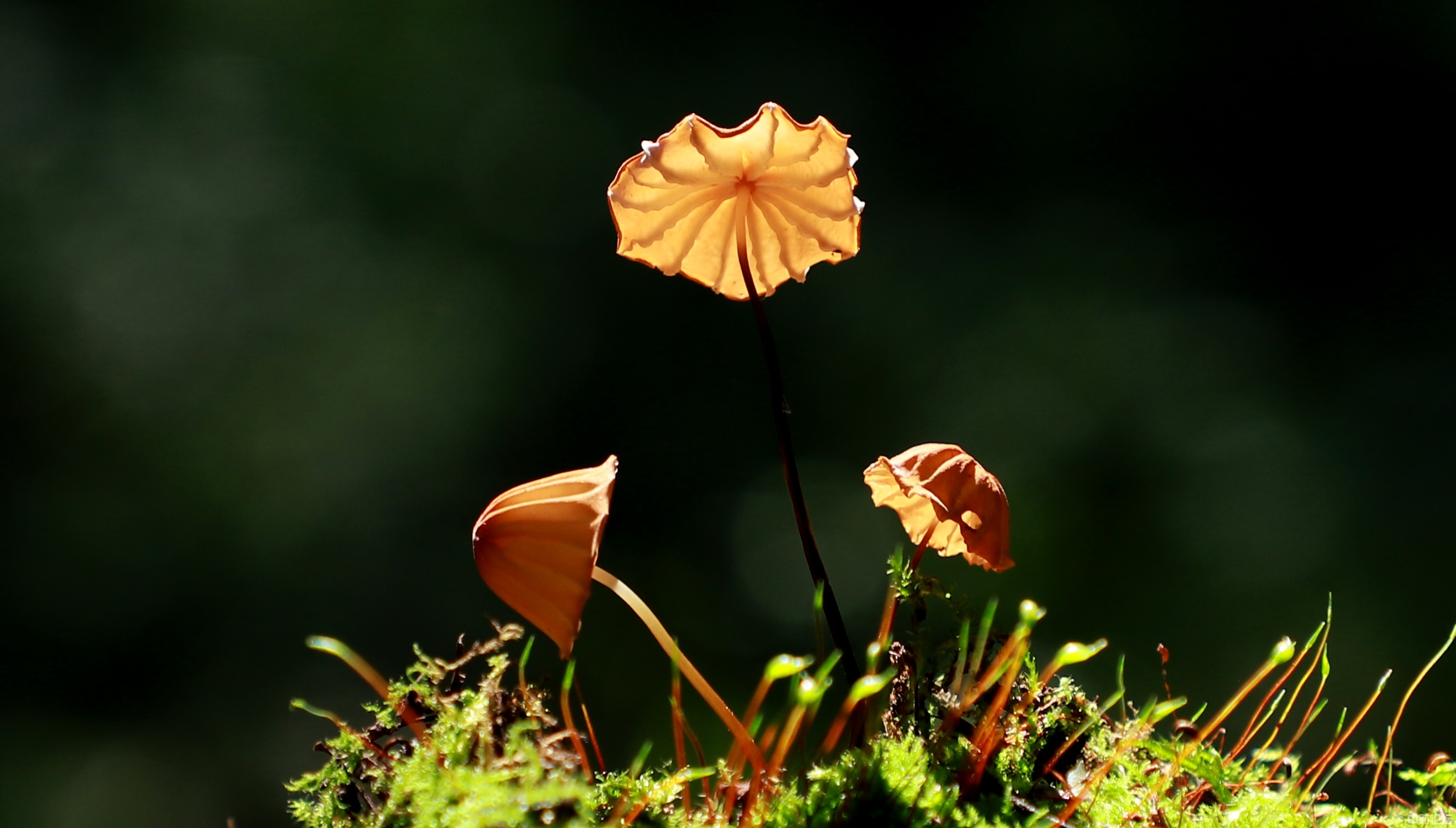 9141660875db7478ff.jpg 9141660875db7478ff.jpg