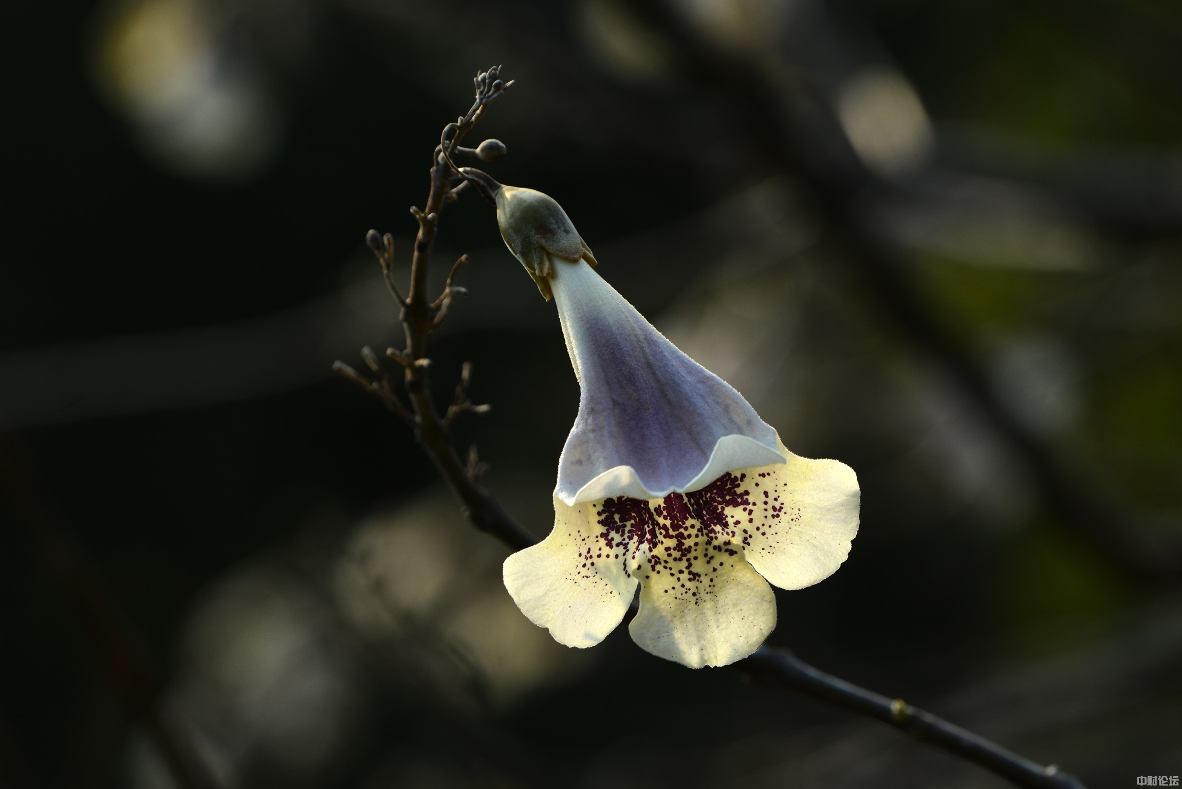 841146089fe8067d3e.jpg 841146089fe8067d3e.jpg