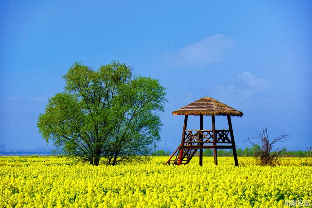 95091608b54fb5c095.jpg 95091608b54fb5c095.jpg