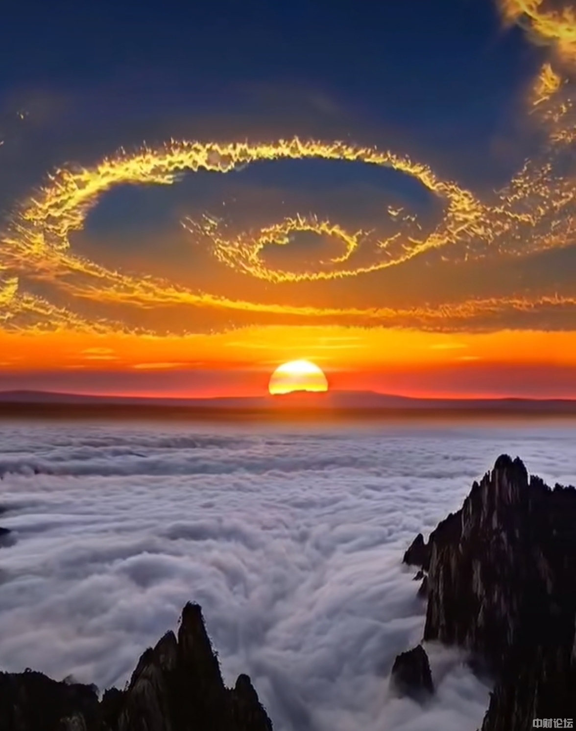 721016099d260bc2a8.jpg 721016099d260bc2a8.jpg