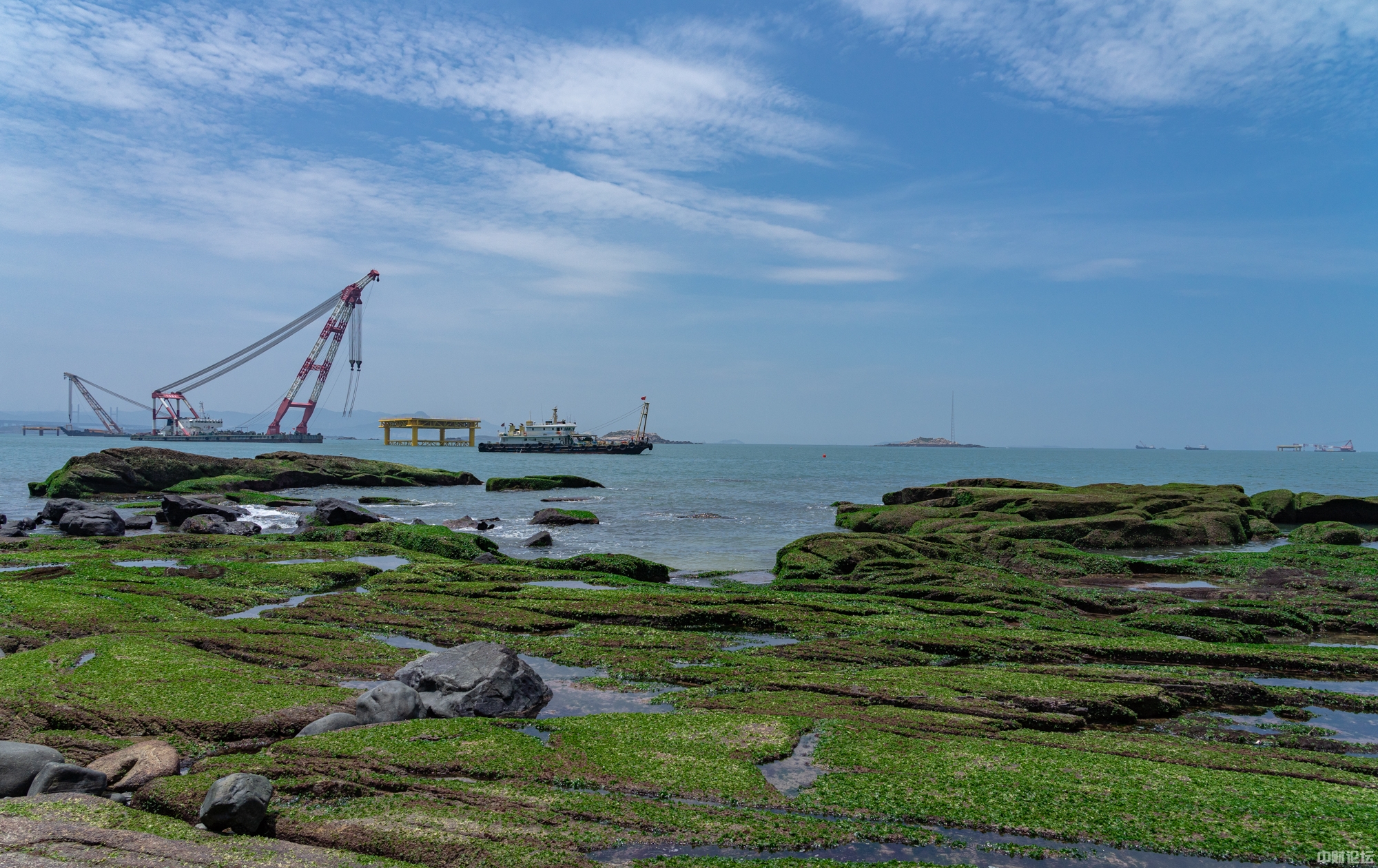 5396060a30ceed80cf.jpg 5396060a30ceed80cf.jpg