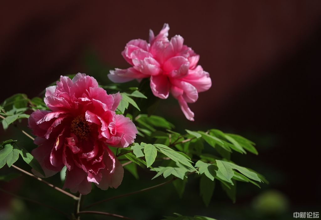 4578560a45cbda5a1e.jpg 4578560a45cbda5a1e.jpg