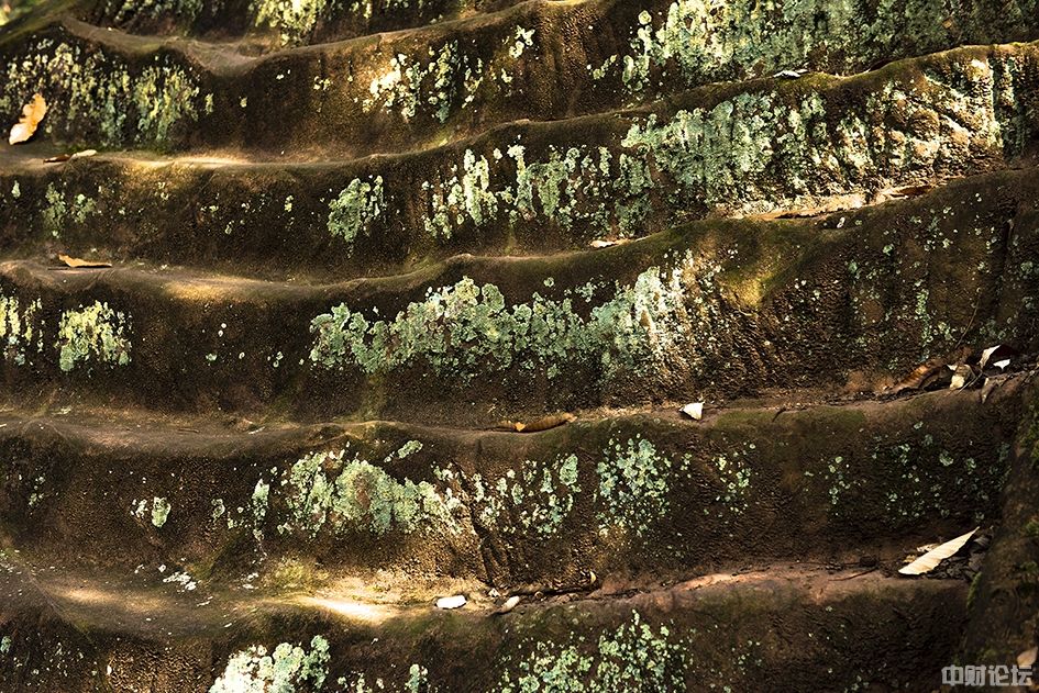 7078360bd6bd531e12.jpg 7078360bd6bd531e12.jpg