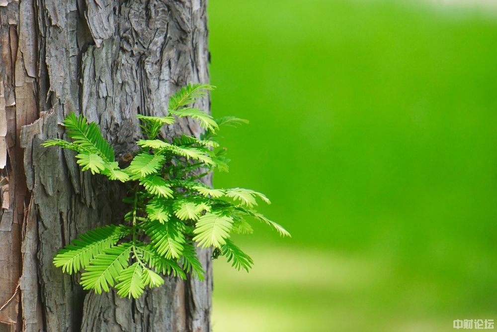 4715660c9464ee85e4.jpg 4715660c9464ee85e4.jpg