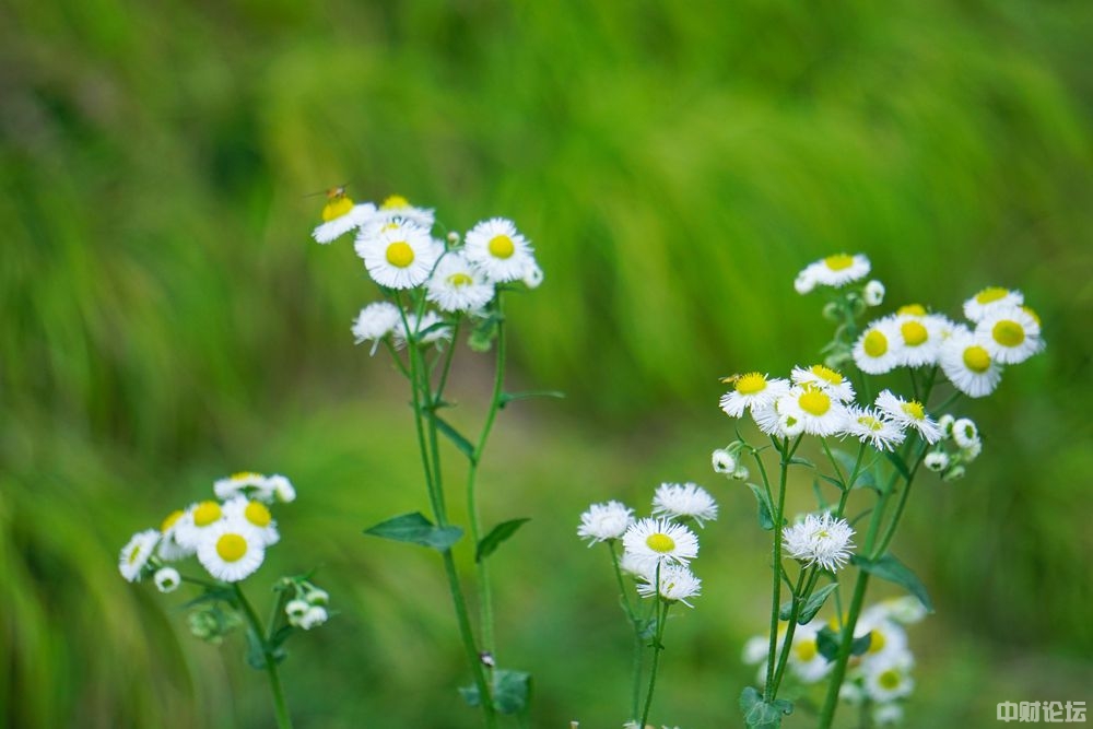 1102960ca98e332baa.jpg 1102960ca98e332baa.jpg