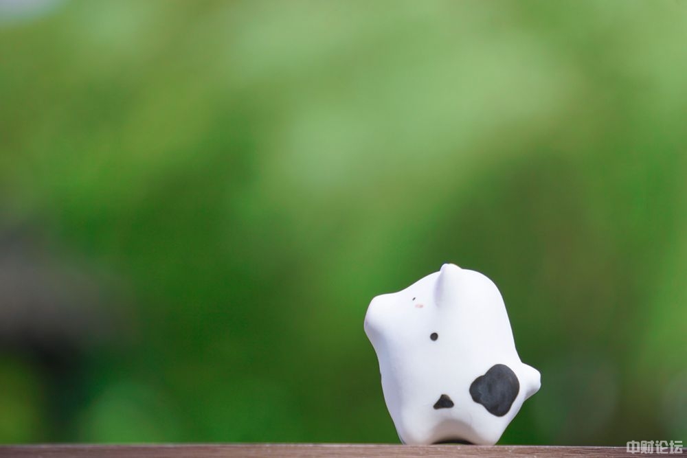 9519960cbe8e6e1443.jpg 9519960cbe8e6e1443.jpg