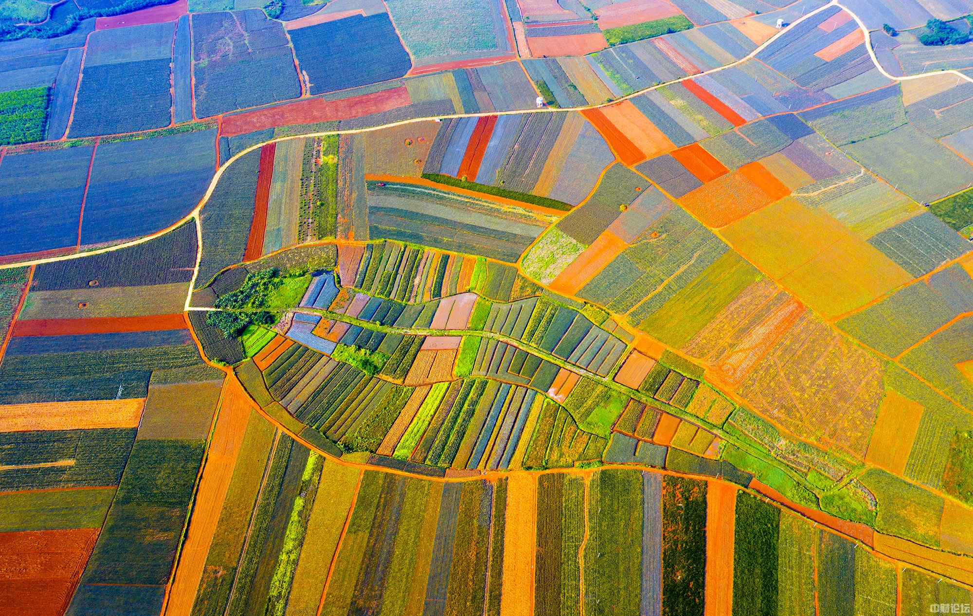 1169860cfe029eebff.jpg 1169860cfe029eebff.jpg