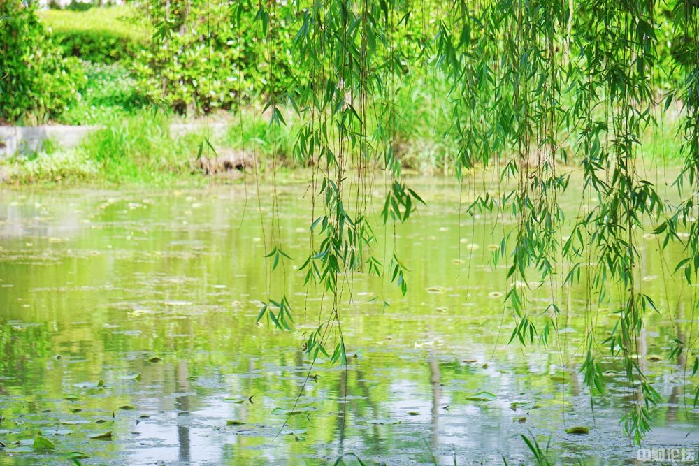 9388460d12fa0a33d6.jpg 9388460d12fa0a33d6.jpg