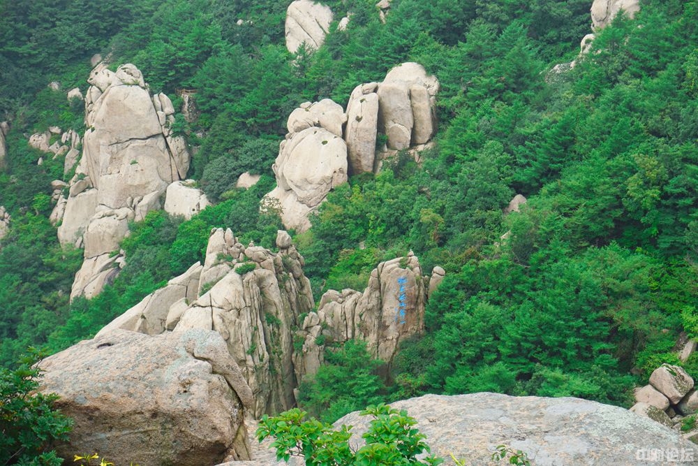 4720960dd0b99c29f1.jpg 4720960dd0b99c29f1.jpg