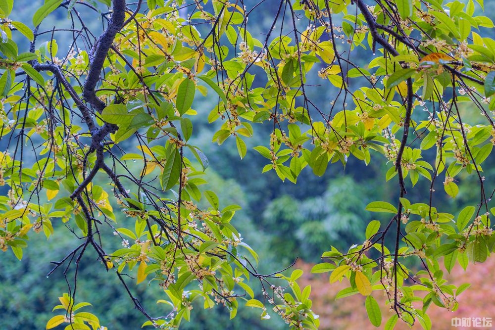 9743360ee32272ccc2.jpg 9743360ee32272ccc2.jpg