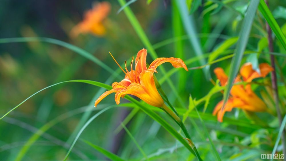 7521360ef849eb8557.jpg 7521360ef849eb8557.jpg