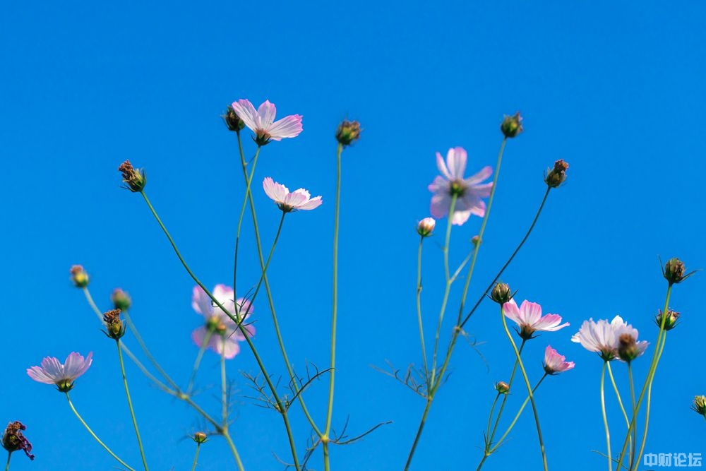 3466660f0d6264e9a5.jpg 3466660f0d6264e9a5.jpg